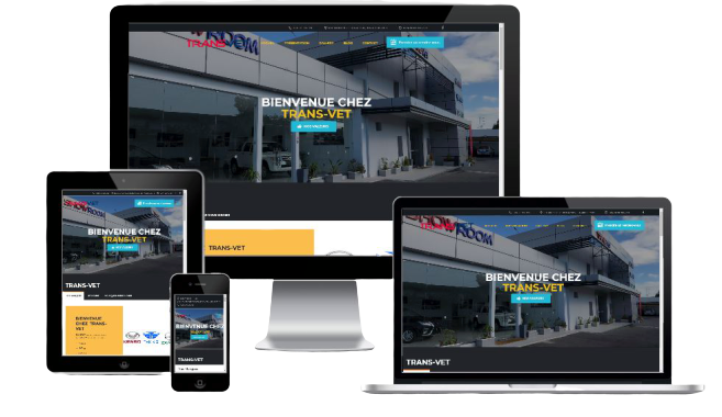 transvet-respensive-removebg-preview-removebg-preview